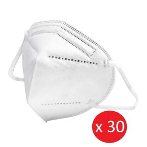 Masque Ffp2 Bt30