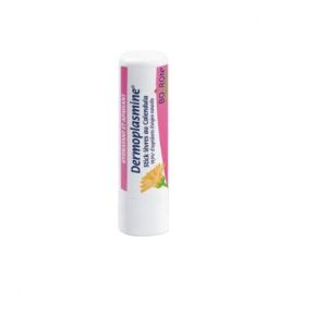 Dermoplasmine Stick Levre Boiron