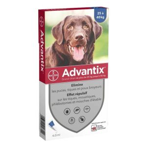 Advantix Grand Chien 4 Pipettes