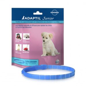 adaptil collier junior