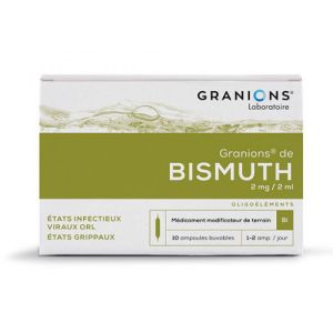 GRANIONS DE BISMUTH 2 mg/2 ml solution buvable 10 ampoules