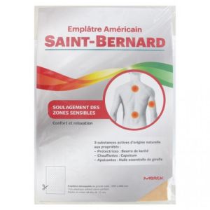 Saint Bernard Emplatre Américain 15x22cm