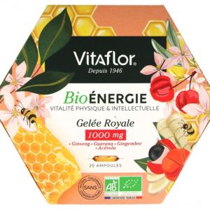 Vitaflor Gele Royal Energie 20 ampoules