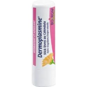 Dermoplasmine Stick Levre Boiron