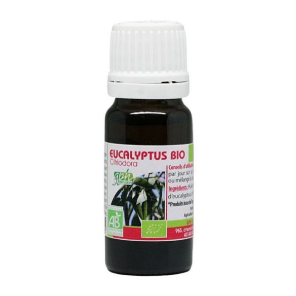 Eucalyptus Globulus 10ml Huile essentielle BIO